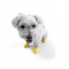 Chaussettes anti-dérapantes pour chien