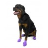 Canine rubber footwear