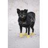 Canine rubber footwear