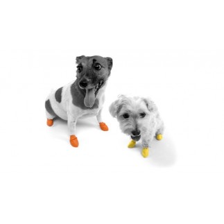 Scarpe ortopediche on sale per cani