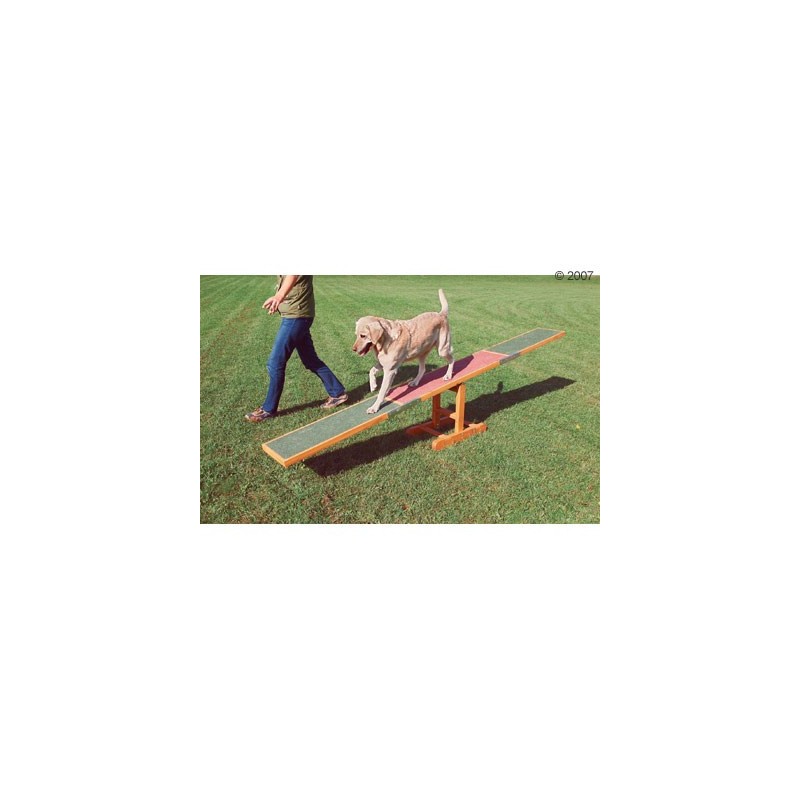 Agility Wippe und Rehabilitation