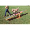 Agility Wippe und Rehabilitation