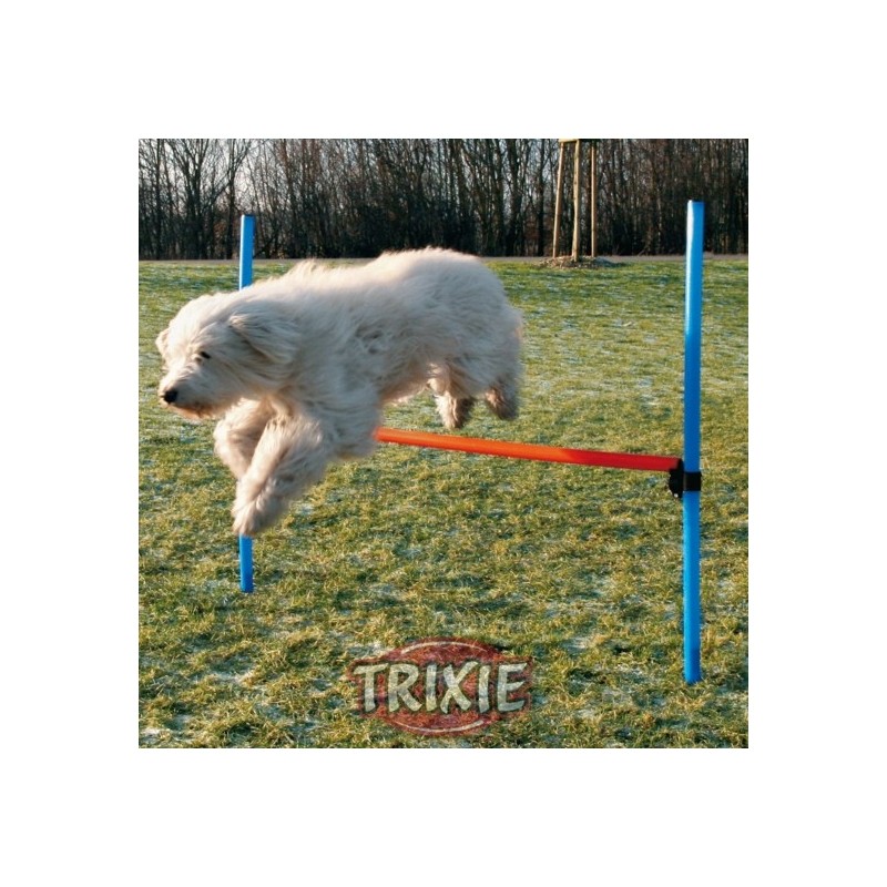 Adjustable dog training fences