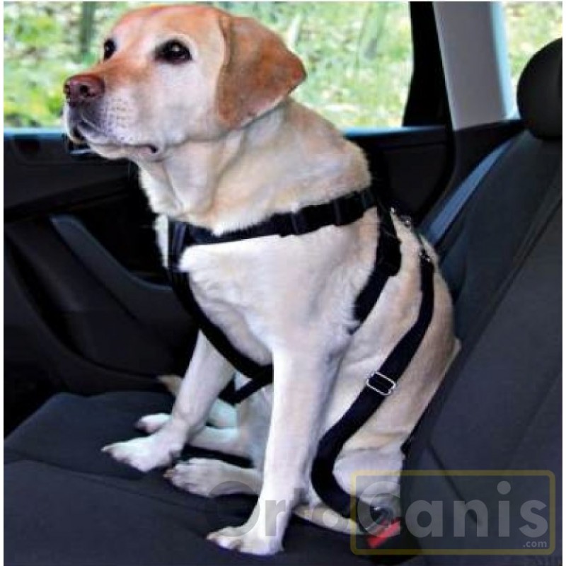 SlowTon Hundegeschirr mit Sicherheitsgurt Double luftdurchlässiges Latex-Gittergewebe Geschirr reguläre Reisenweste Autosicherheitsgurt für alle alltäglichen und sportlichen Aktivitäten dem Vierbeiner