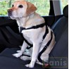 buy Safety belt - Productos adicionales