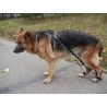 comprar Biko Brace - Pie