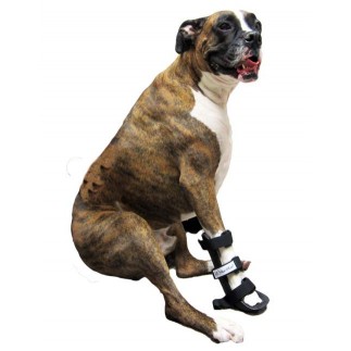 Front Leg Splint for Dogs