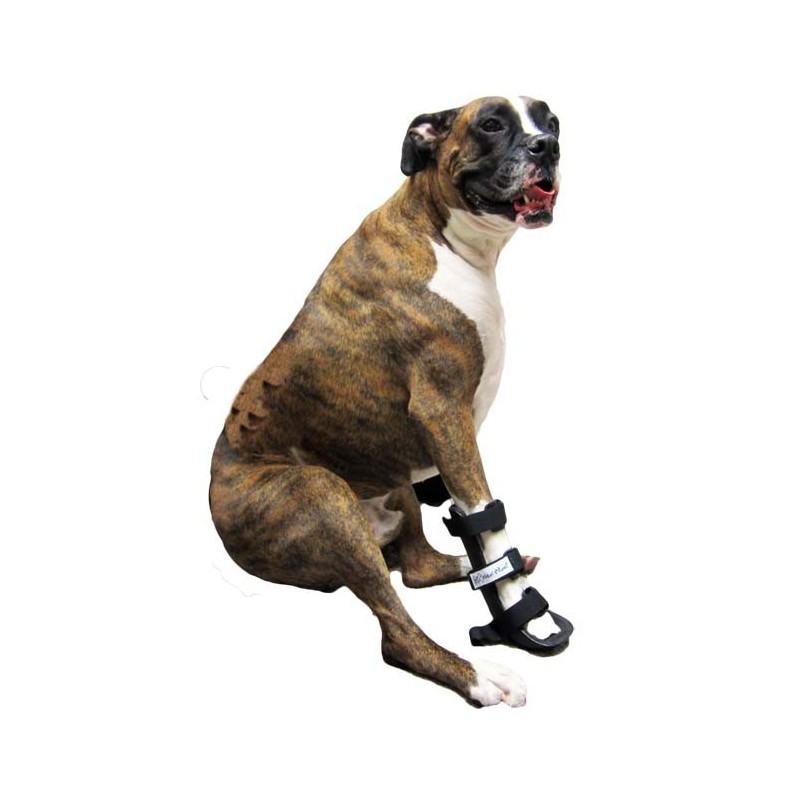 Vorderbeinorthese Hund