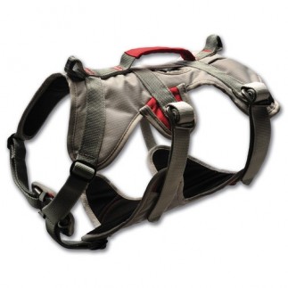 Double Back Harness. Dog harness for disabled