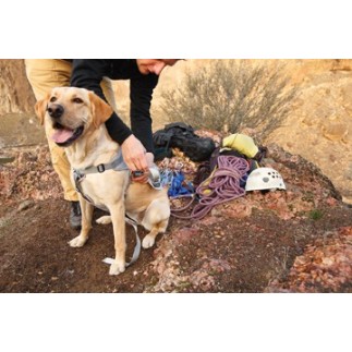 Double Back Harness. Dog harness for disabled