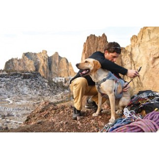 Harnais Double Back de Ruffwear pour chien handicapé ou pour l'alpinisme