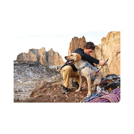 Doubleback online dog harness