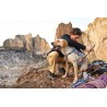 Harnais Double Back de Ruffwear pour chien handicapé ou pour l'alpinisme