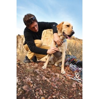Harnais Double Back de Ruffwear pour chien handicapé ou pour l'alpinisme