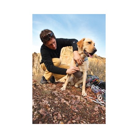 Pettorina Per Cani In Pelle Extra Large Extra Large Con Borchie Marrone Cioccolato / Beidge - Foto 8