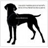 Doppio Indietro Harness. Imbracatura per cani per disabili