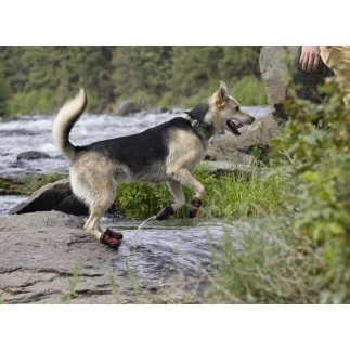 Botas para perro Ruffwear
