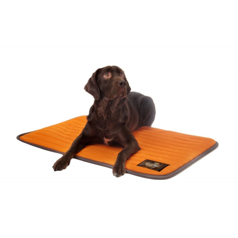 Matelas anti escarre pour chien