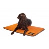 buy High-Tech Pet Bed  - Rehabilitation