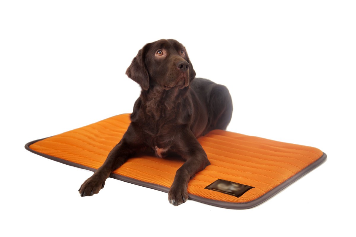 Matelas pour chien « Matela »