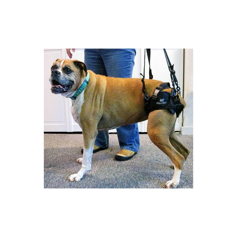 XFSRG Hund Tragehilfe - Hebegeschirr Für Behinderte & ältere Hunde