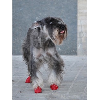 Canine rubber footwear