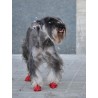 acheter Chaussures pour chien Pawz (caoutchouc) 12 unités - Aides techniques