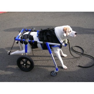 Dog accessory front wheels