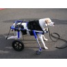 Accesorio ruedas delanteras para perro