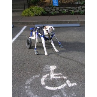Dog accessory front wheels