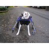 Zubehör Vorderräder für Hunde