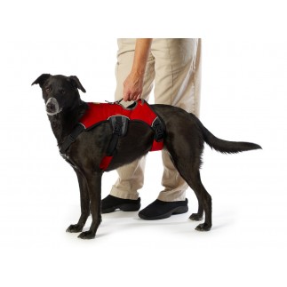 Ruffwear Web Master Harness Hunde-
