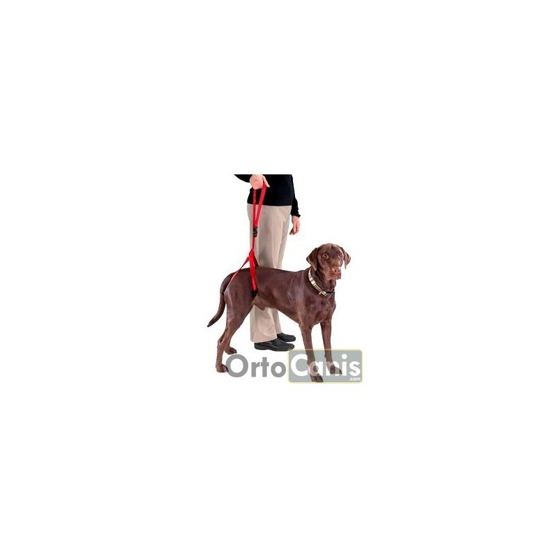 Pack arn s de soporte X5