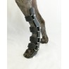 Fèrula ortopèdica per a gos. Membre posterior.