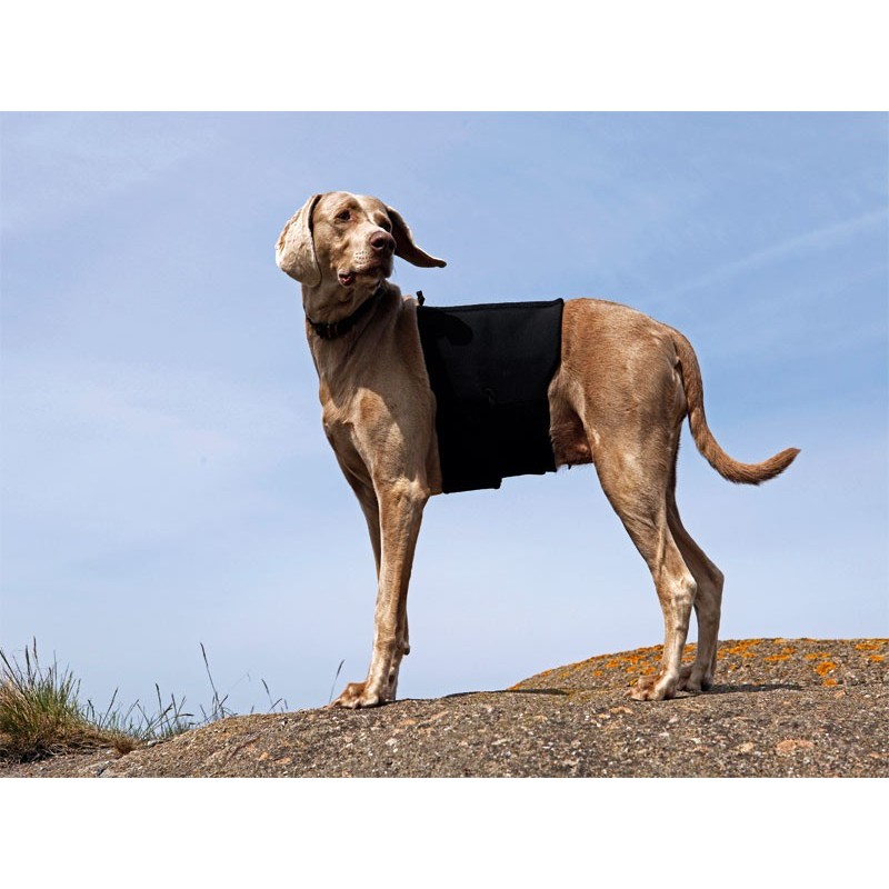 Ortocanis Thermal Back Brace for Dogs