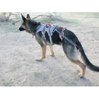 Double Back Harness. Dog harness for disabled