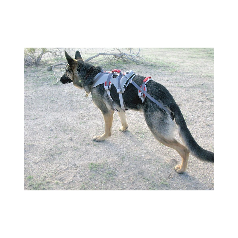 Ortocanis Double Back Harness for Dogs