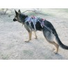 Doppio Indietro Harness. Imbracatura per cani per disabili