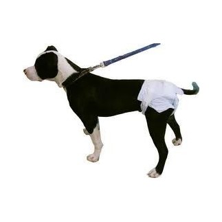 Dog Diaper