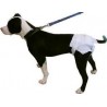 buy Dog diaper - Accessories