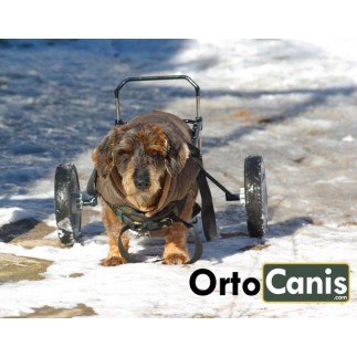 comprar Silla de ruedas a medida para perro - Productos adicionales