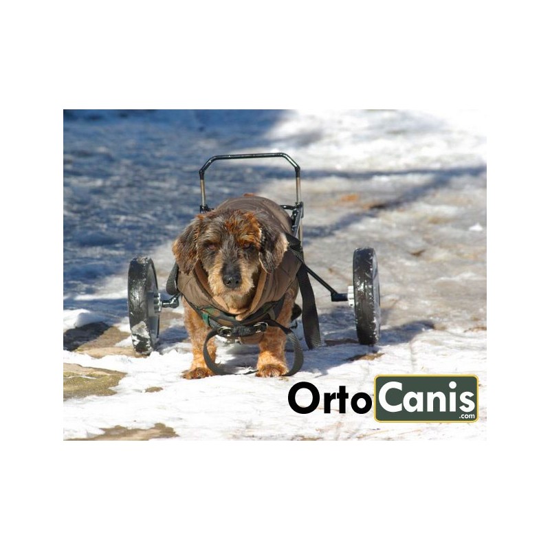 acquistare Carrello per cani disabili su misura - Productos adicionales