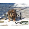 Dog wheelchair