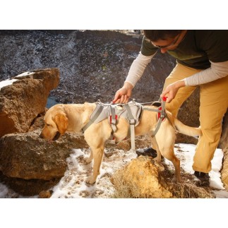Harnais Double Back de Ruffwear pour chien handicapé ou pour l'alpinisme