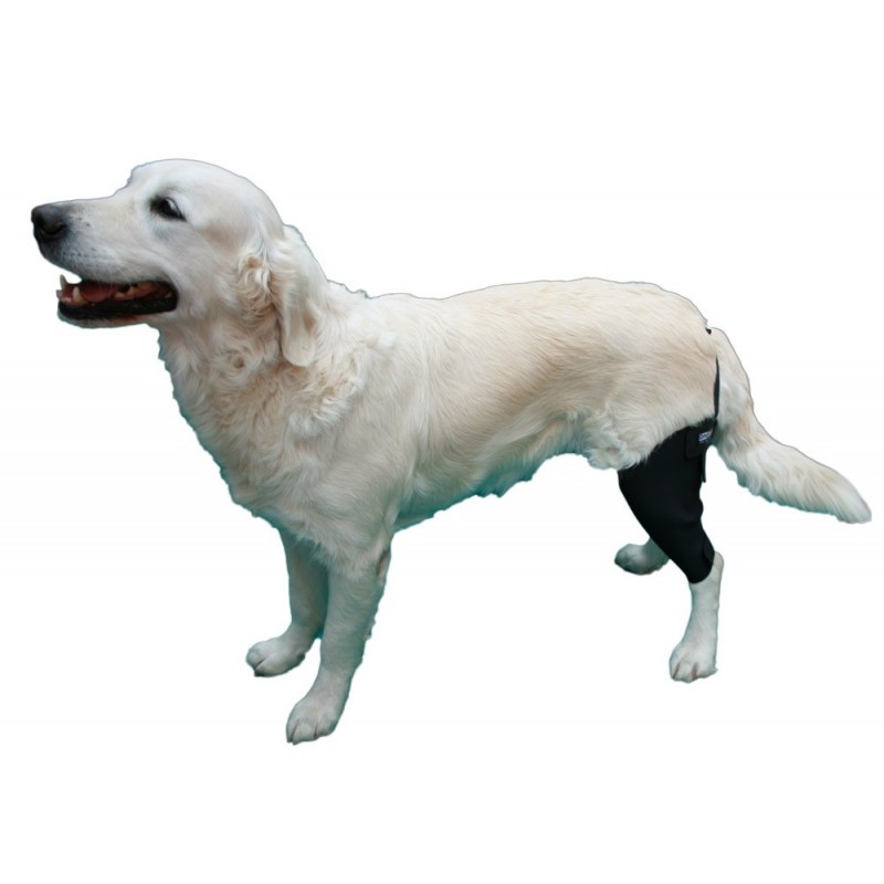 Hinged Knee Brace for Dogs