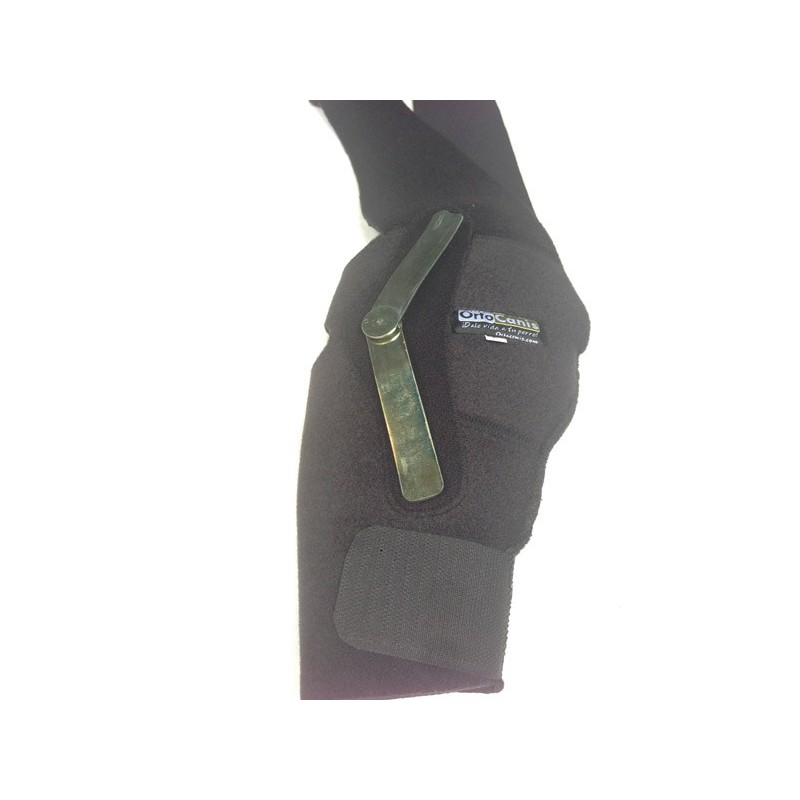 Hinged Knee Brace for Dogs