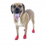 Botas para perro de caucho