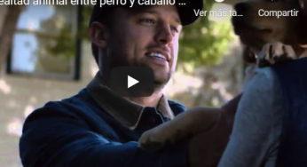 Budweiser publica un anuncio que promete hacerte llorar