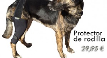 Ayudas ortopédicas para perros