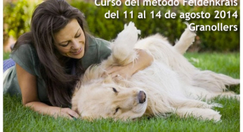 Learn how to help your dog regain lost mobility